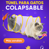 Tunel plegable para gato