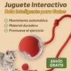 Bola interactiva para gato