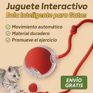 Bola interactiva para gato